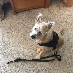 Meet your Posher, Kathleen